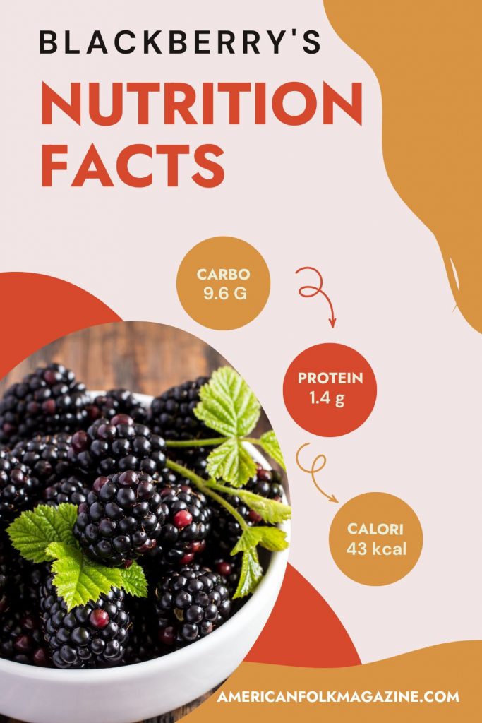 Blackberry Nutrition Facts And 10 Health Benefits