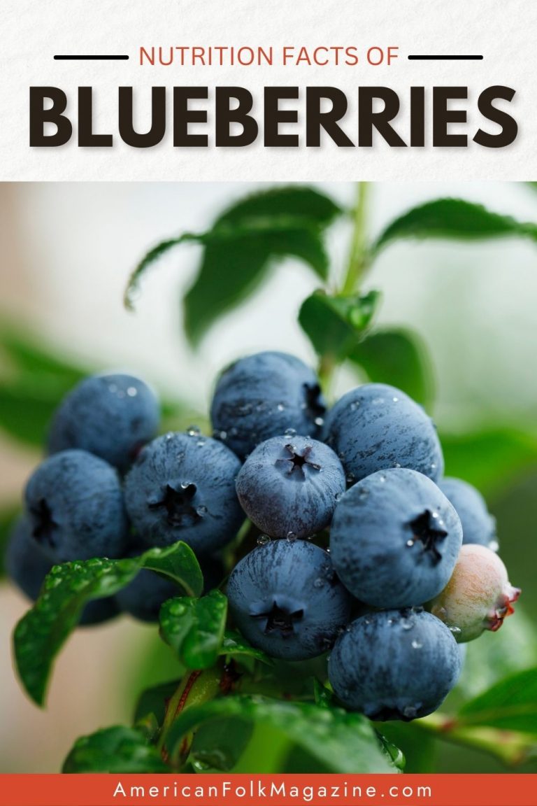 Blueberry Nutrition Facts And 8 Health Benefits