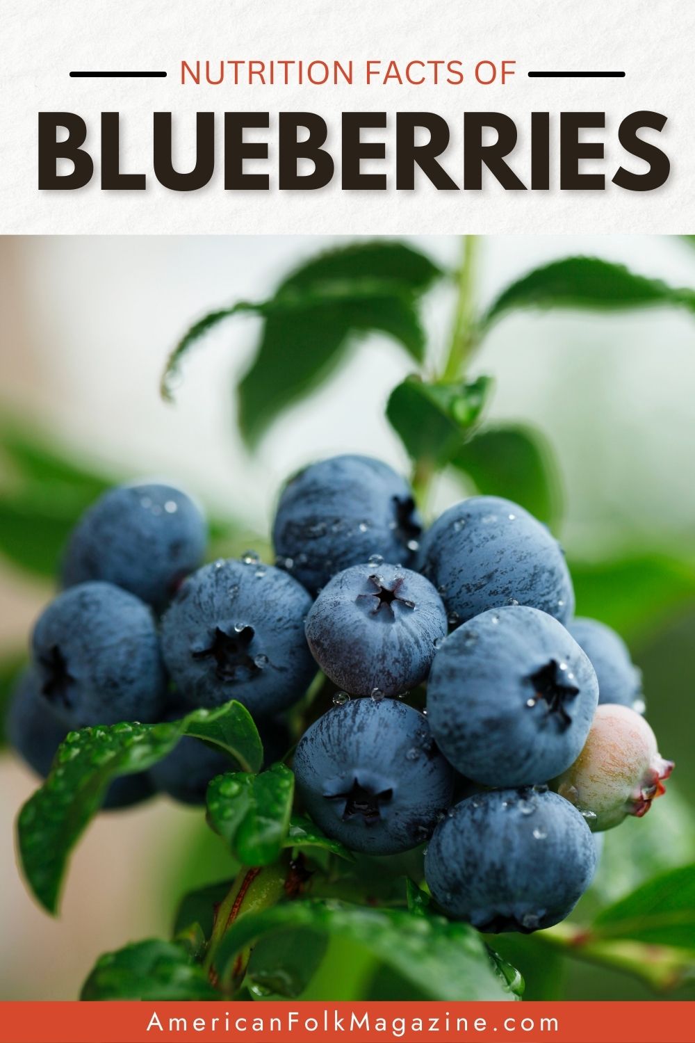 blueberry-nutrition-facts-and-8-health-benefits