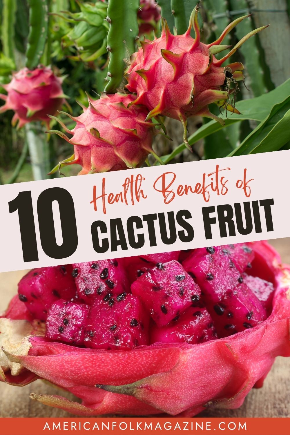 Cactus Fruit Nutrition Facts And 10 Health Benefits