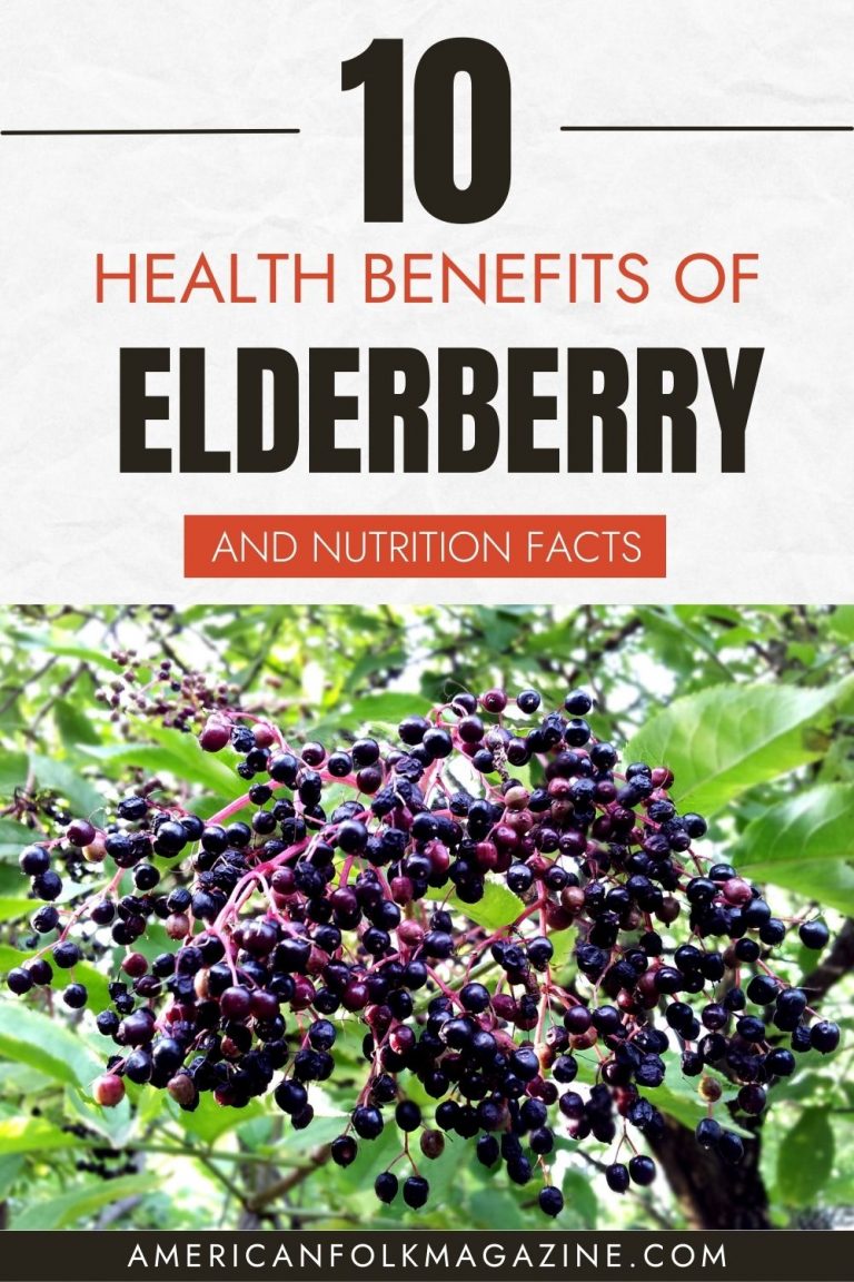 Elderberry Nutrition Facts and 10 Health Benefits