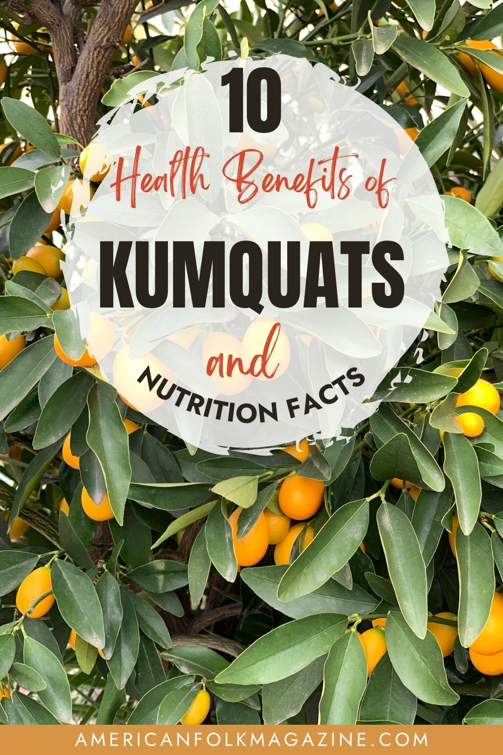 Kumquat Nutrition Facts And 10 Health Benefits